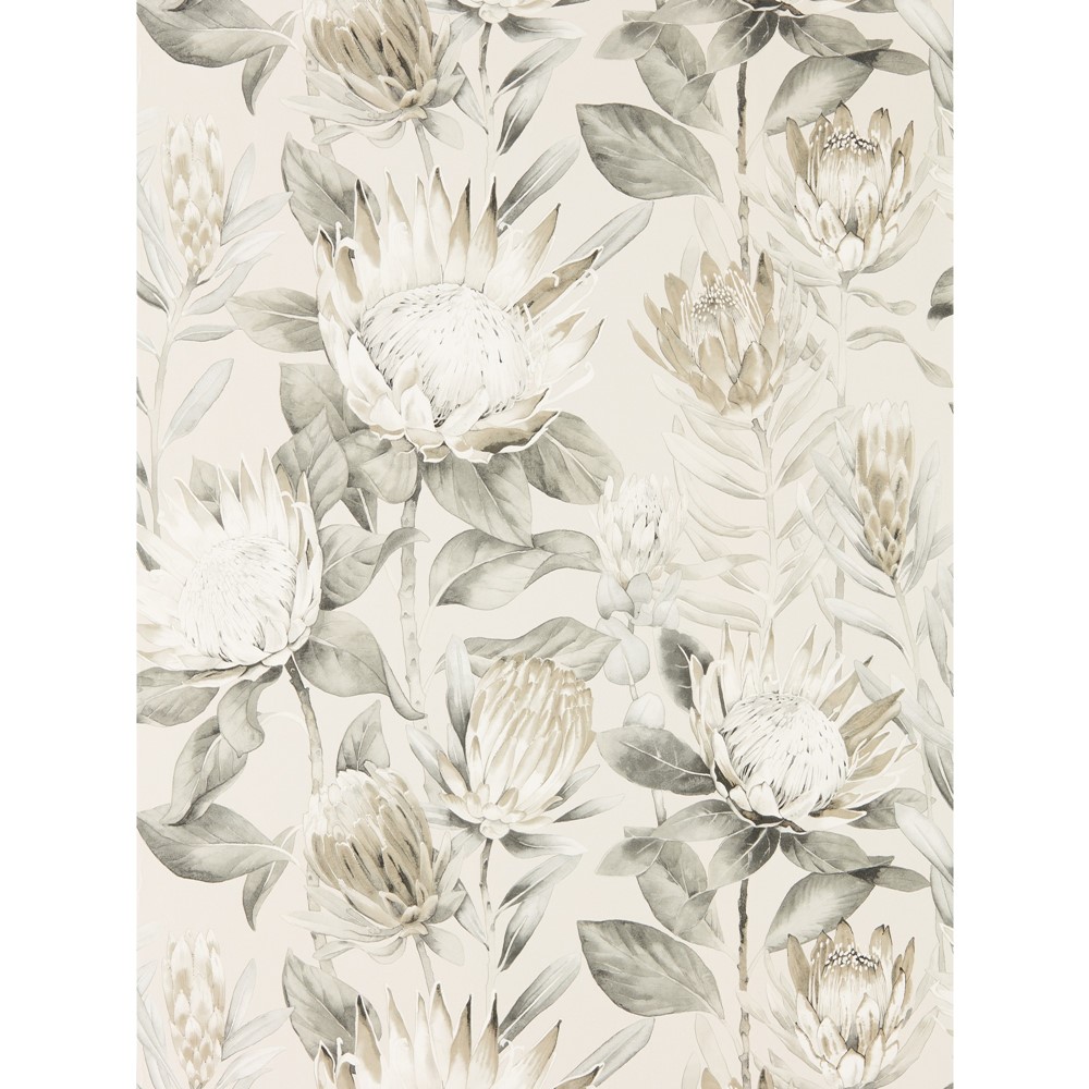 King Protea Wallpaper 216647 by Sanderson in Linen Mica Beige